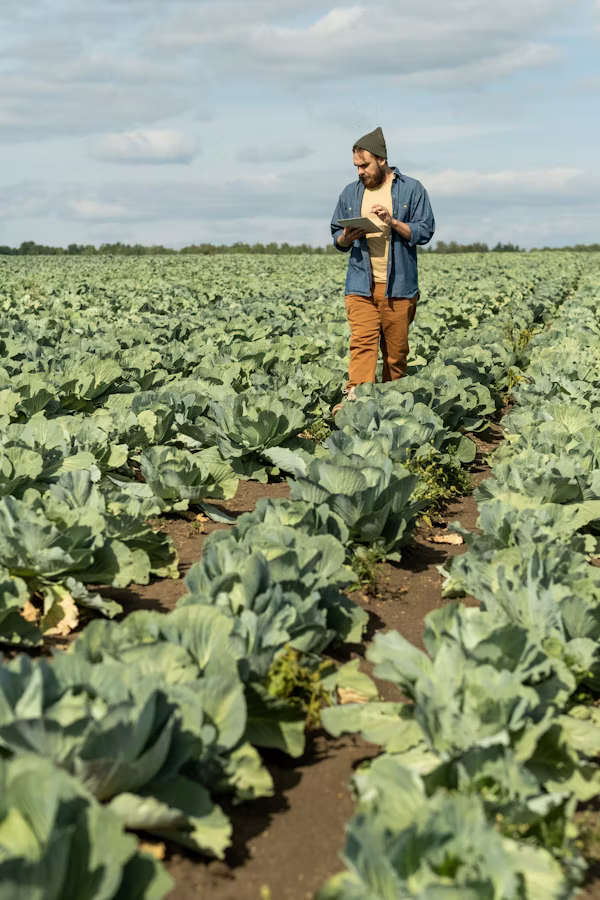 Agriculture & Sustainability